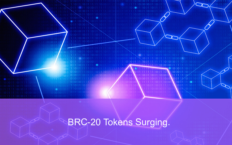 CandleFocus BRC20-Token-Cryptocurrency-Memecoins