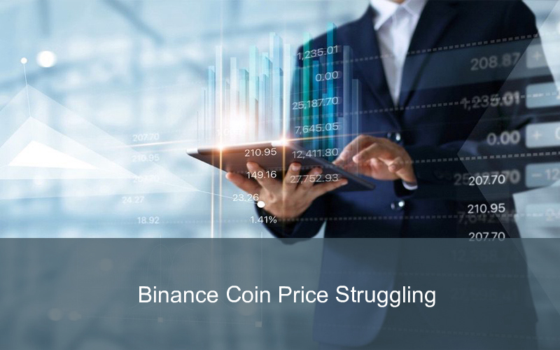 CandleFocus BNBprice-Binance-BTC-Crypto-Altcoins-PriceMovements