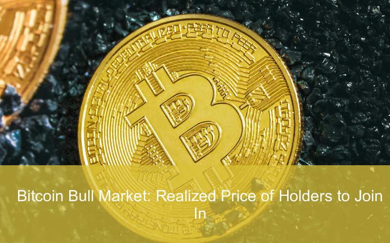 CandleFocus Bitcoin-BullRun-Holders-Price-Metrics-Indicators