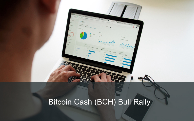 CandleFocus BitcoinCash-BCH-Investing-USD