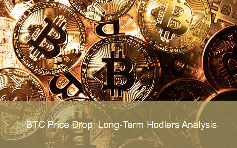 CandleFocus Bitcoin-BTC-PricePrediction-LongTermInvestors-Hodling