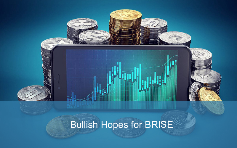 CandleFocus bitgert-brise-cryptos-investor-promisingprojects