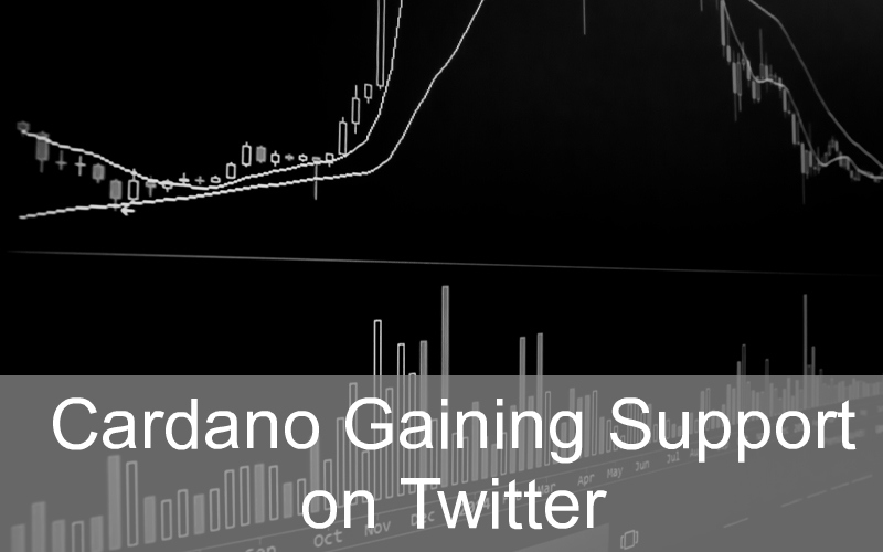 CandleFocus Cardano-Twitter-Logo-Crypto-Poll-Binance-Cryptocurrency