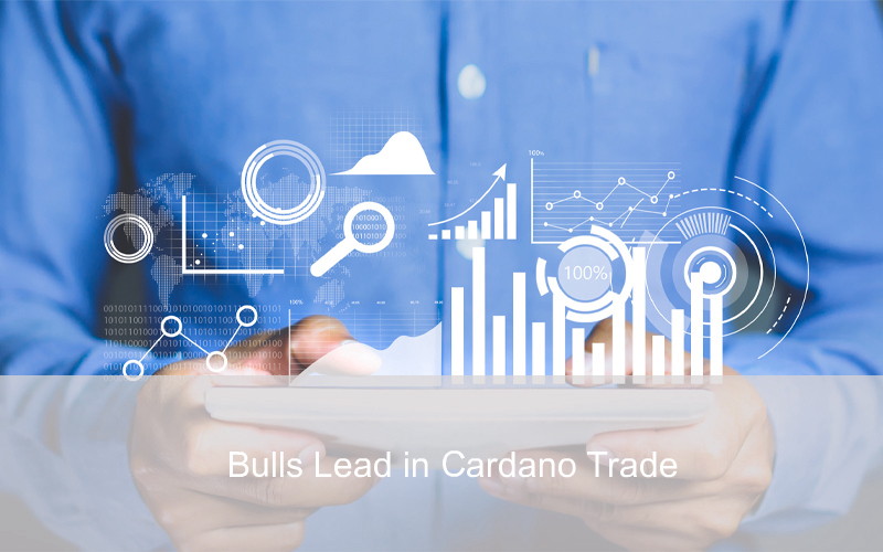CandleFocus Cardano-ADA-Bulls-Bears-PriceDecline-PriceRange