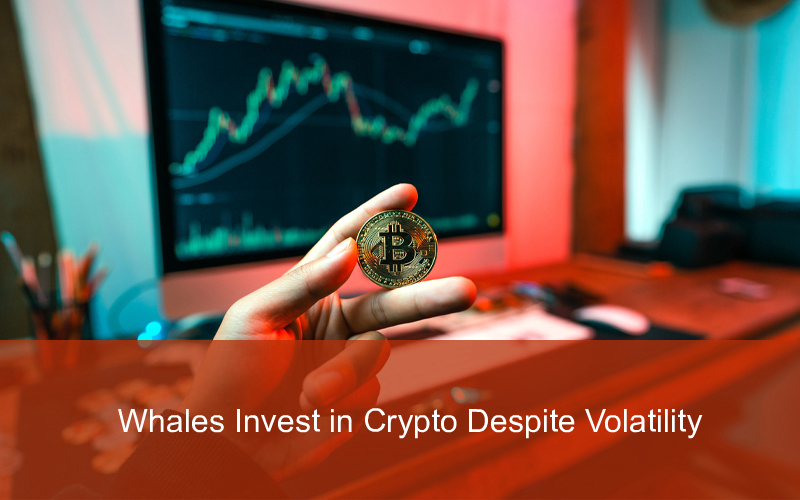 CandleFocus CryptoIndustry-SilkRoad-Bitcoin-Whales-VolatileMarket
