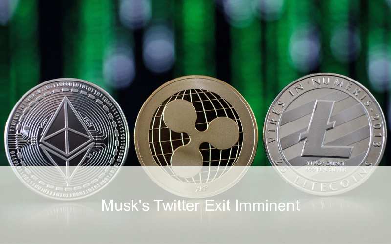 CandleFocus ElonMusk-Twitter-Dogecoin-Cryptocurrency