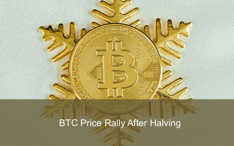 CandleFocus Bitcoin-BTC-Halving-Price-Rally-Investors-Network