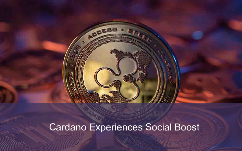 CandleFocus Cardano-Cryptocurrency-SocialEngagements-TapTools