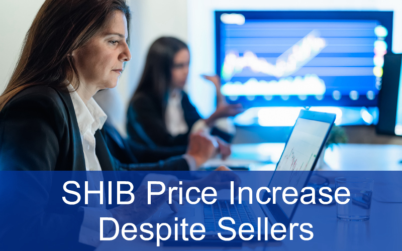 CandleFocus SHIB-Cryptocurrency-Price-Market-Investors