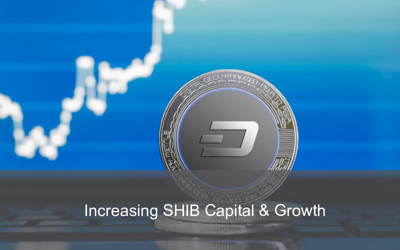 CandleFocus ShibaInu-SHIB-Investors-Capital-Growth