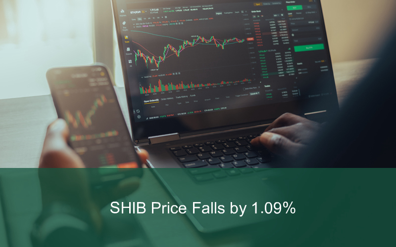 CandleFocus Crypto-ShibaInu-SHIB-CoinMarketCap-PriceDrop