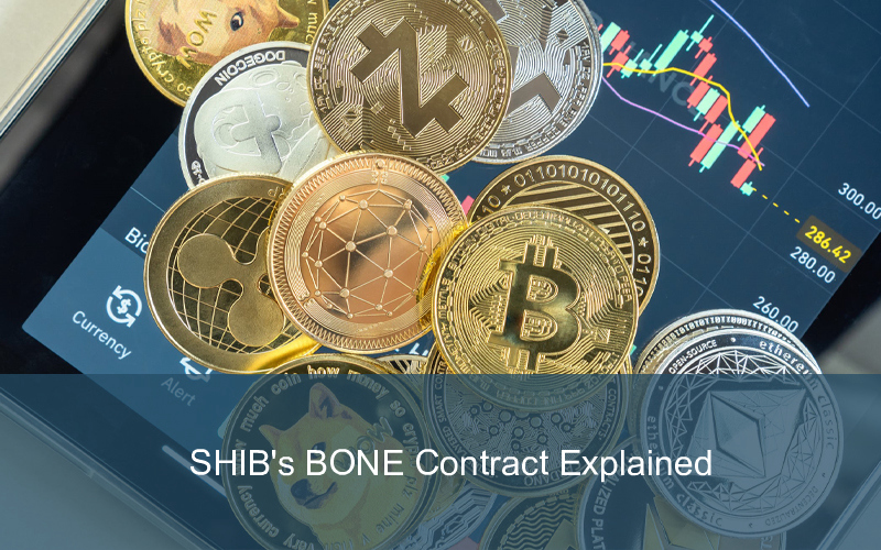 CandleFocus ShibaInu-SHIB-Cryptocurrency-BONEContract