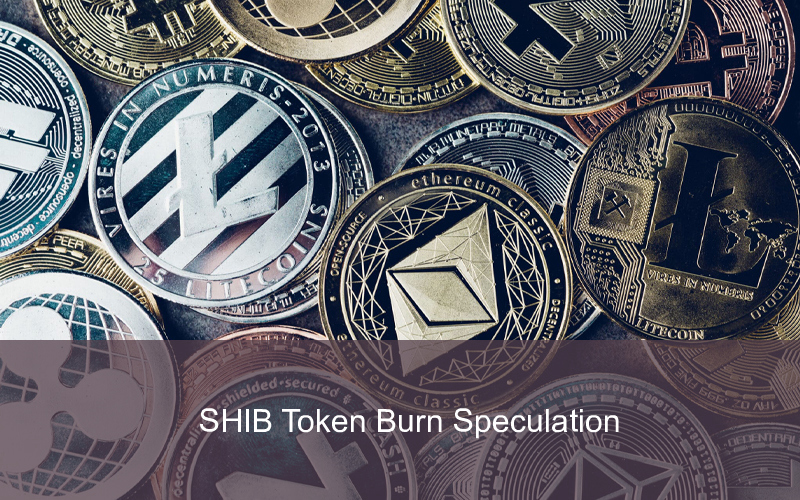 CandleFocus SHIB-TokenBurn-Crypto-PriceIncrease