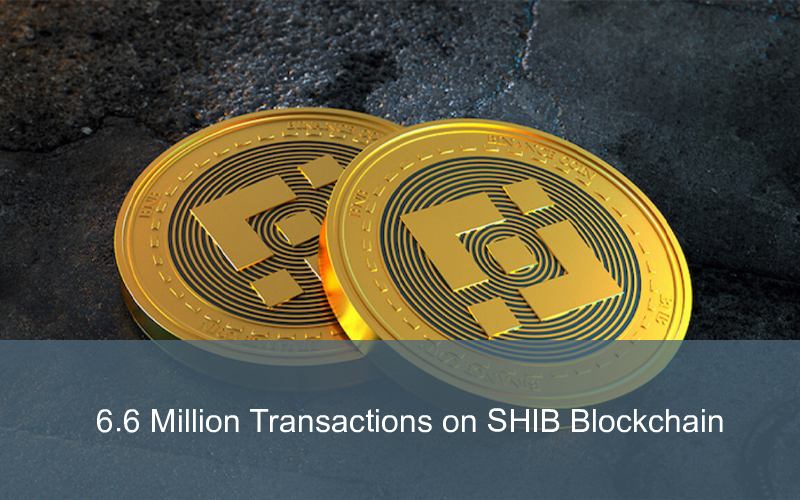 CandleFocus ShibaInu-Cryptocurrency-Blockchain-Transactions