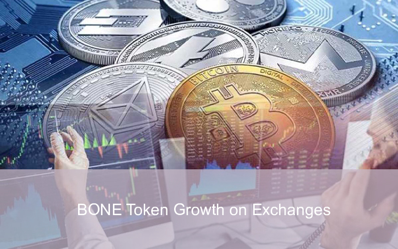 CandleFocus BONE-Token-Exchange-Crypto