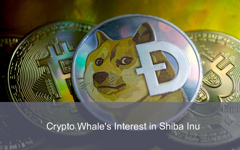 CandleFocus ShibaInu-cryptocurrency-burn-whale-transaction