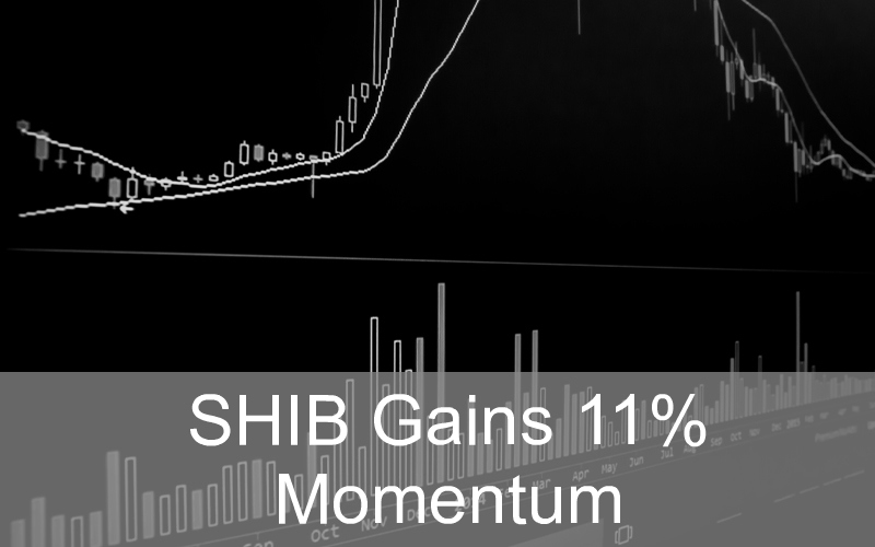 CandleFocus ShibaInu-SHIB-Dogecoin-Cryptocurrency-CoinBurn