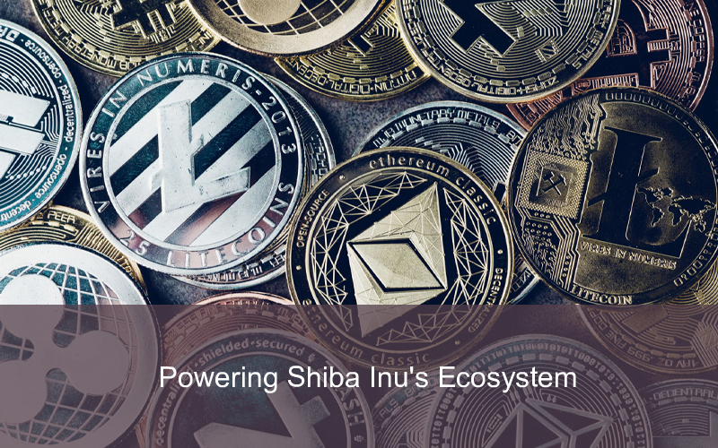 CandleFocus Shibarium-ShibaInu-SHIB-Cryptocurrency-Blockchain