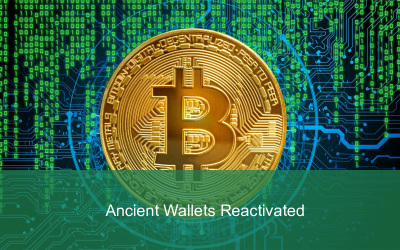 CandleFocus Bitcoin-Ethereum-Wallets-WhaleAlert-SatoshiNakamoto