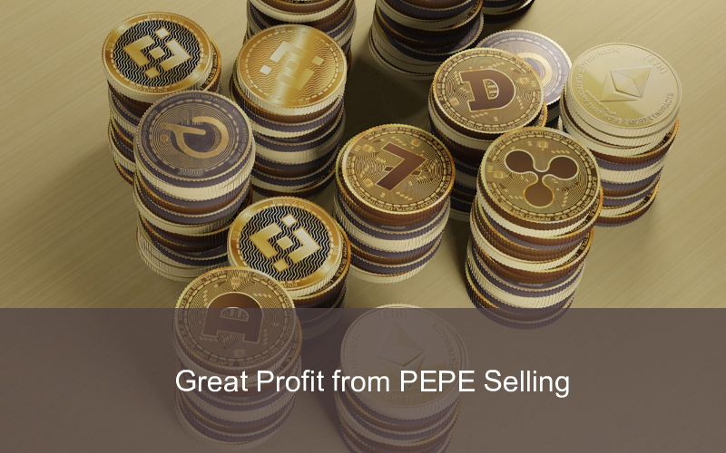 CandleFocus WhaleInvestor-PEPE-Profit-Binance-Crypto-Investment