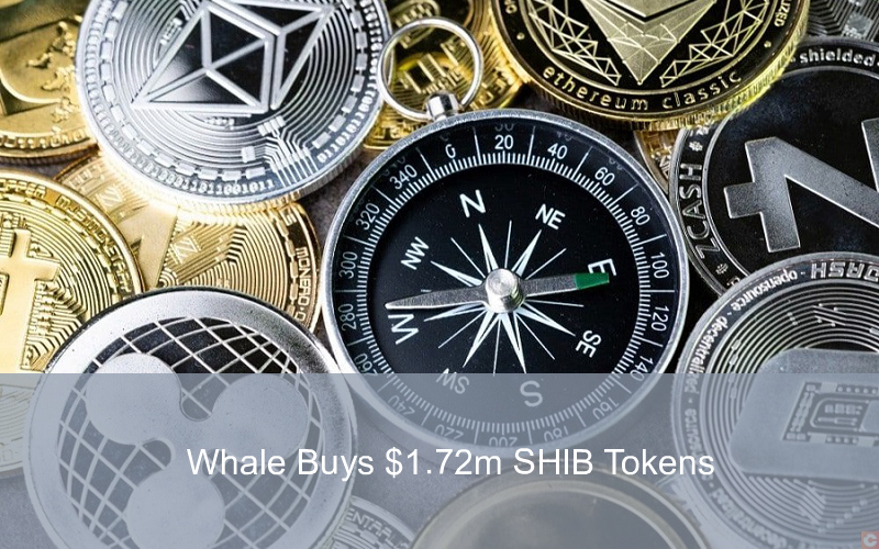 CandleFocus ShibaInu-Whale-Cryptocurrency-Purchase-Tokens