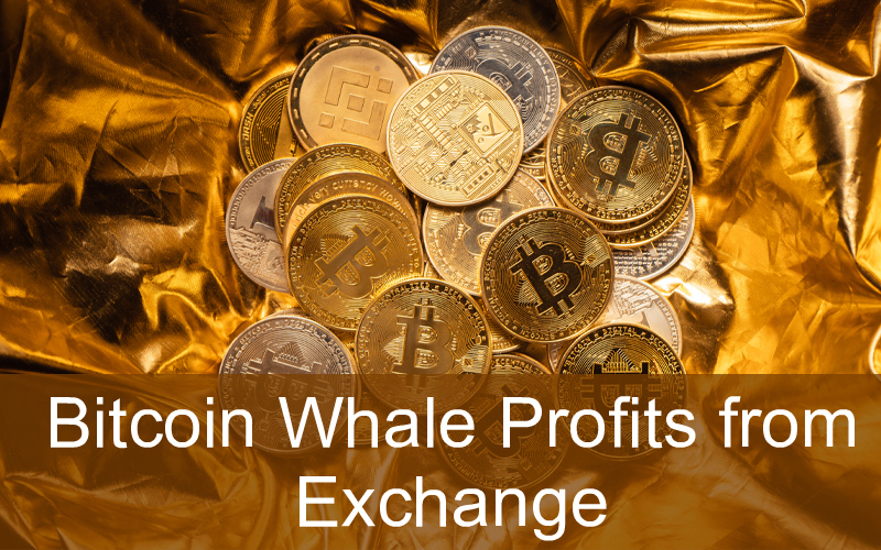 CandleFocus Whale-Bitcoin-Transaction-Investor-Exchange-Profit
