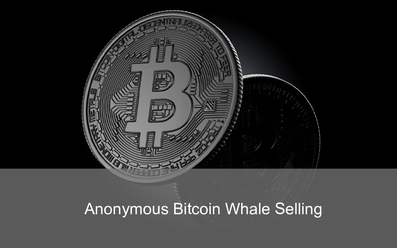 CandleFocus Bitcoin-Crypto-Whale-Investor-CryptoMarket